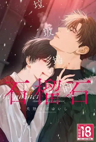 垃圾场的石榴石 WB版