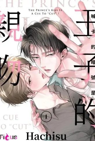 喊卡的暗号是王子的亲吻 WB版