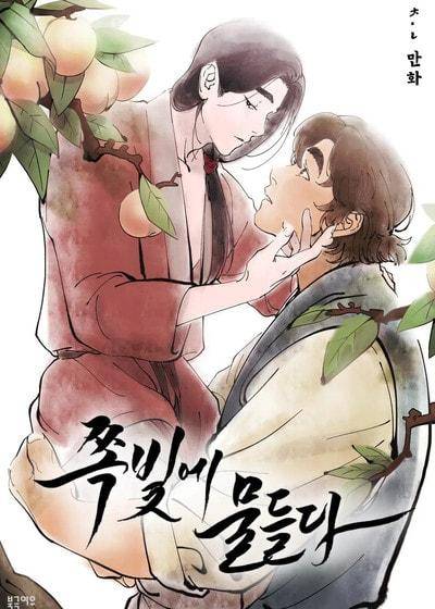 左风起蓝海 (台版)