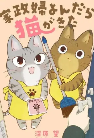 叫了家政来了猫 WB版