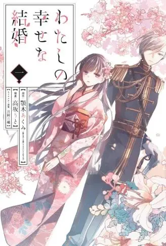我的美好婚事 WB版漫画