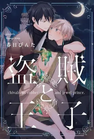 盗贼与王子 WB版