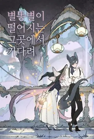 在流星坠落之处等待 WB版漫画