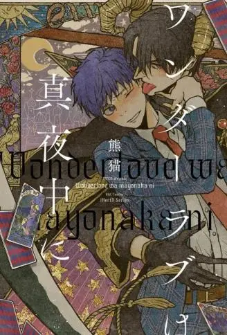 午夜的奇幻爱情 WB版
