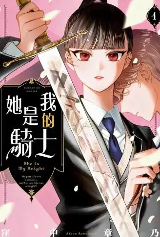 她是我的骑士 WB版漫画