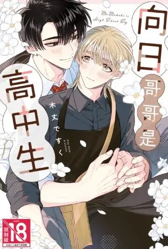 向日哥哥是高中生 WB版