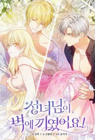 圣女大人进退两难 WB版