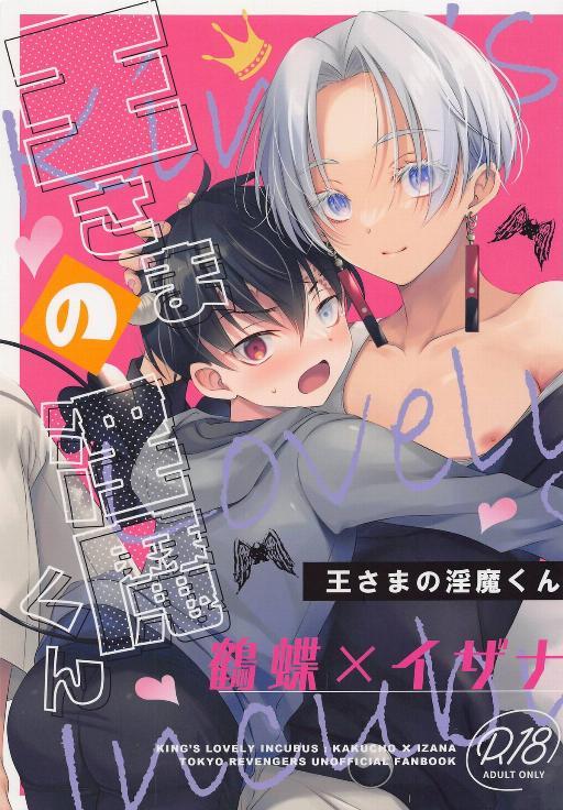 国王的淫魔君