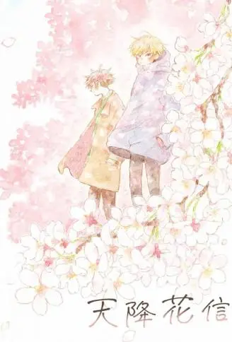 天降花信 WB版漫画