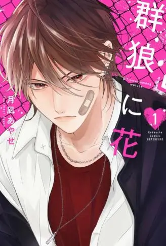 群狼中的花 WB版
