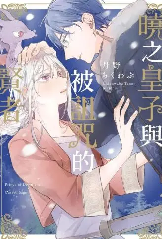 晓之皇子与被诅咒的贤者 WB版