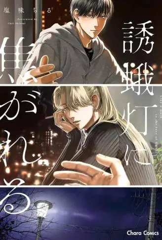 焚于诱蛾灯 WB版漫画