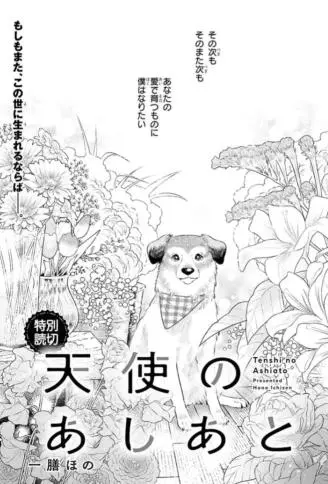 天使的足迹 WB版