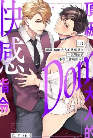 顶级Dom大人的快感指令～这场结婚不在工作范围内！ WB版