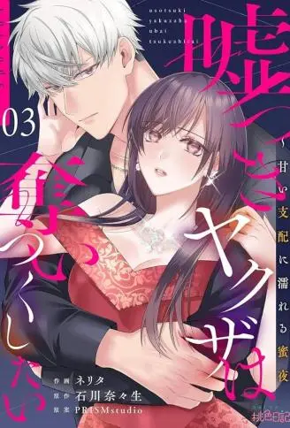 说谎的黑道想夺走我的一切～被甜蜜支配的湿溽蜜夜 WB版