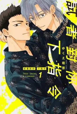 试着对你下指令 WB版