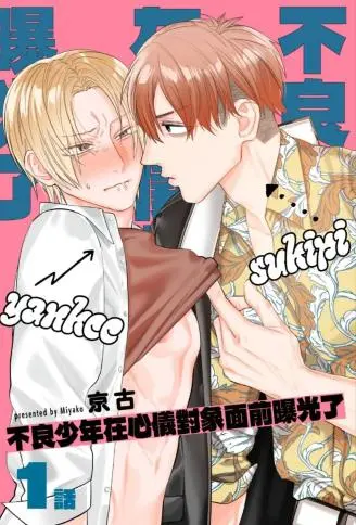 不良少年在心仪对象面前曝光了 WB版漫画