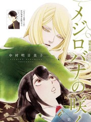 绣眼星杨漫画