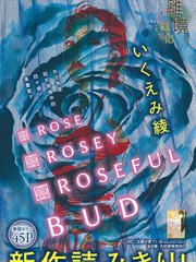 Rose Rosey Roseful BUD