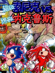 超级索尼克进化史漫画