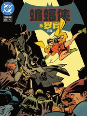 蝙蝠侠与罗宾剧照漫画