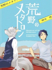梅塔特隆和桑达尔丰漫画