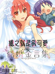 总之就是很可爱 官方FANBOOK 结婚金言集