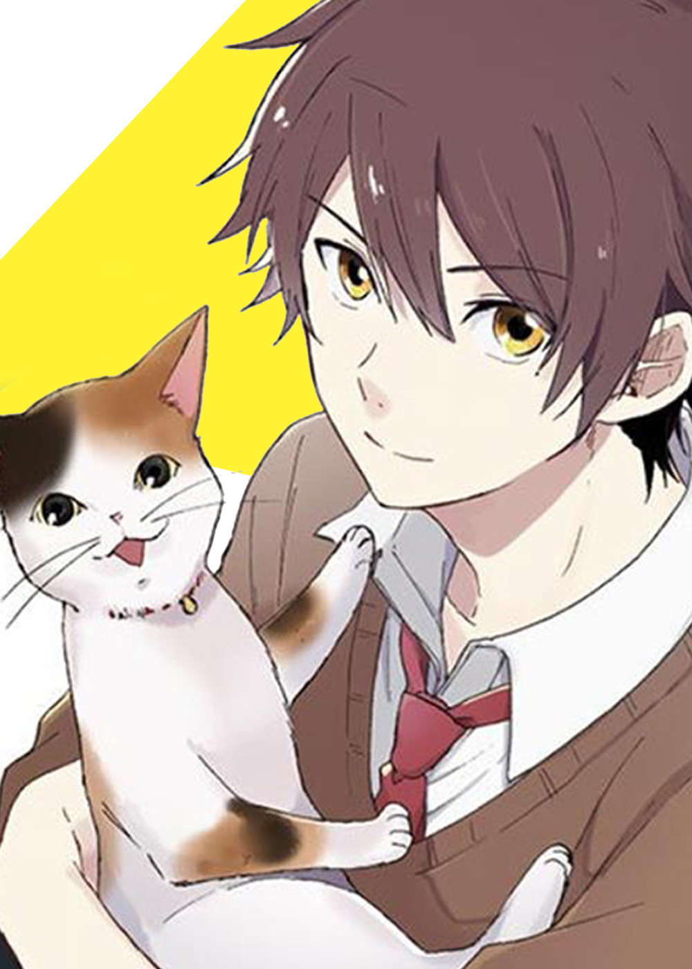 三花公猫猫漫画