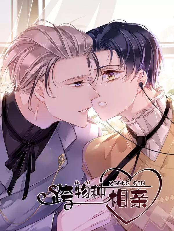 小猫驯服小技巧漫画
