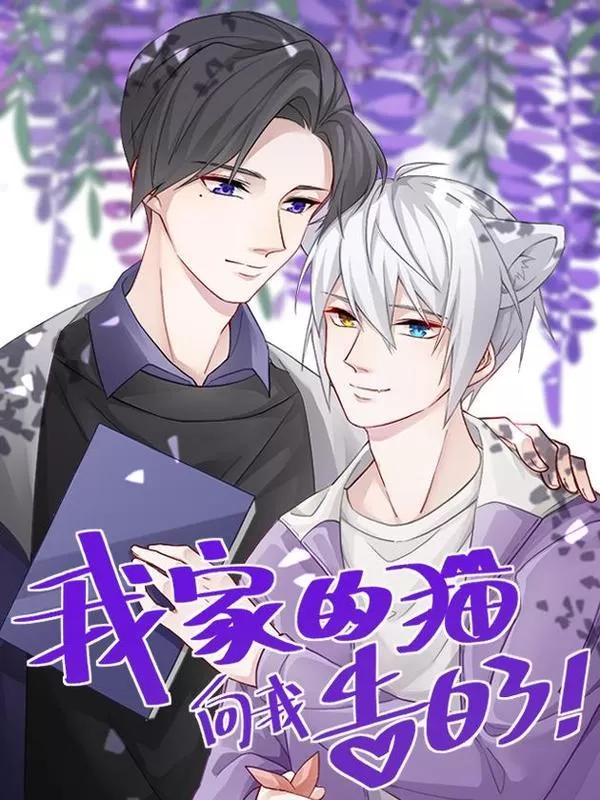 我家小猫猫漫画