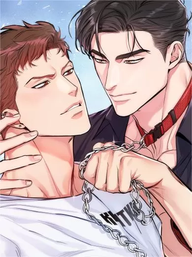 狗与小鸟漫画