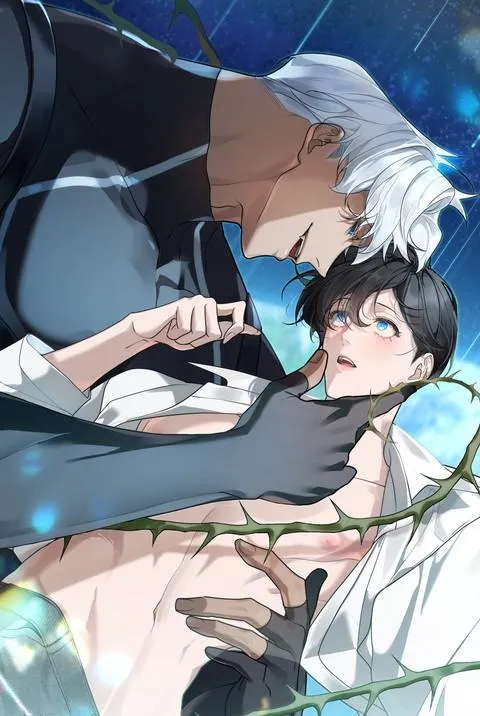NEBULA/星云