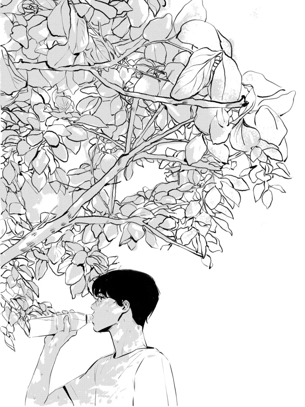 暑假是几月份开始放假漫画