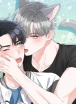 我的专属猫咪韩漫免费观看漫画