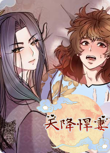 天降悍妻