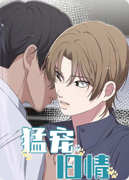 猛宠旧情韩漫别名漫画