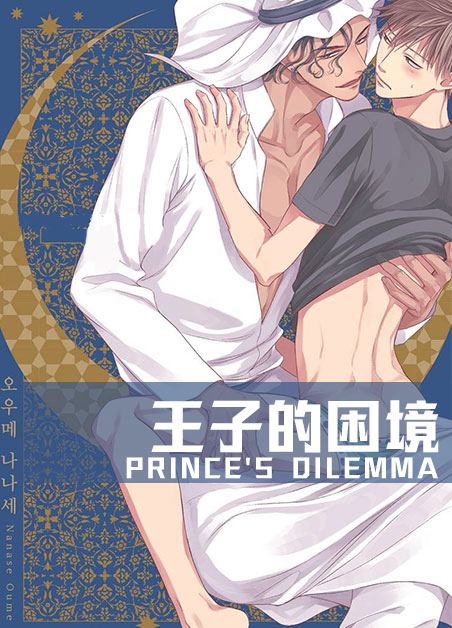 王子的困境什么意思漫画