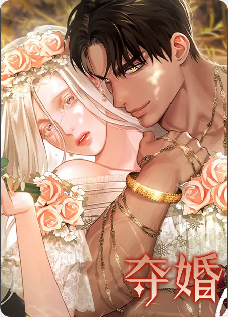 夺婚