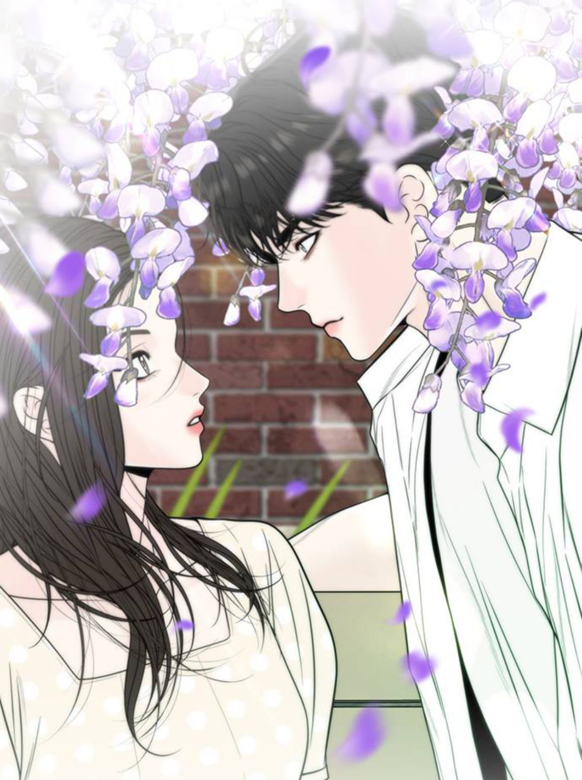 界線漫画