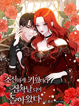 归来仍少年的小说漫画