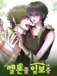 哈密瓜临时照看中