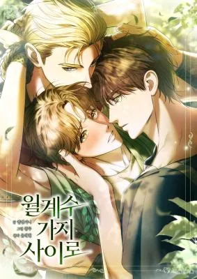 月桂之间