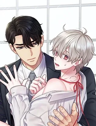 如果不是命运，那是什么？【台版】